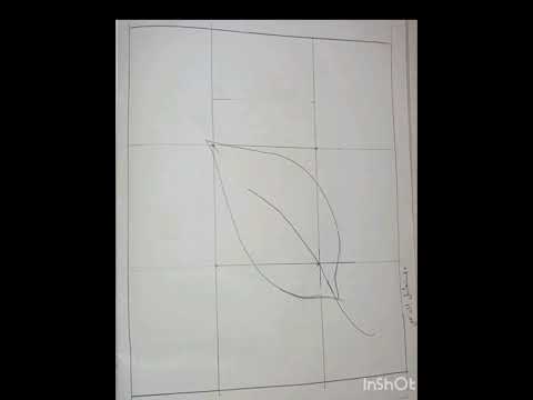 القاعدة الذهبية السنة الثالثة متوسط