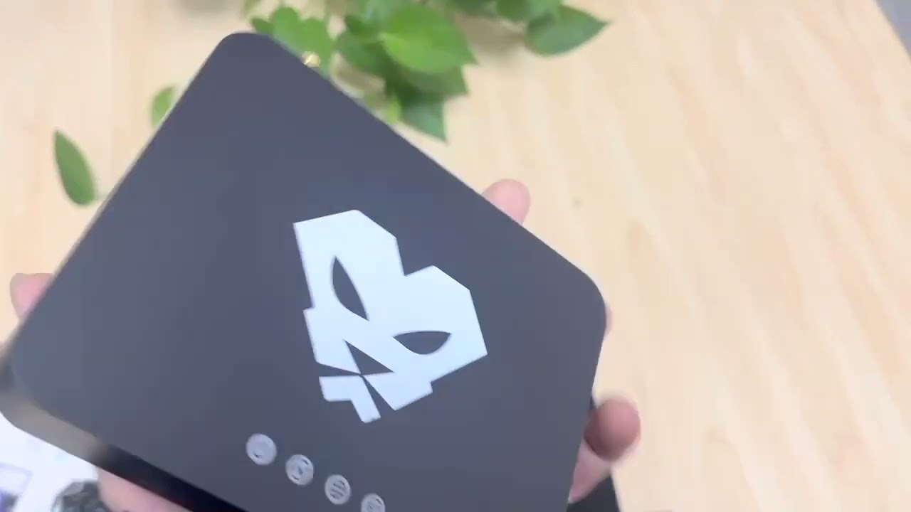 Panther X2 Hostspot Helium HNT Miner