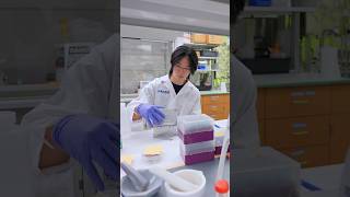 Ian Lin - 2025 RAMI Undergraduate Research Fellow
