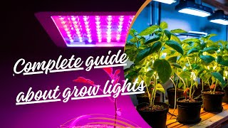 Grow Lights For Houseplants Guide | Choose Grow Light for Indoor Plants