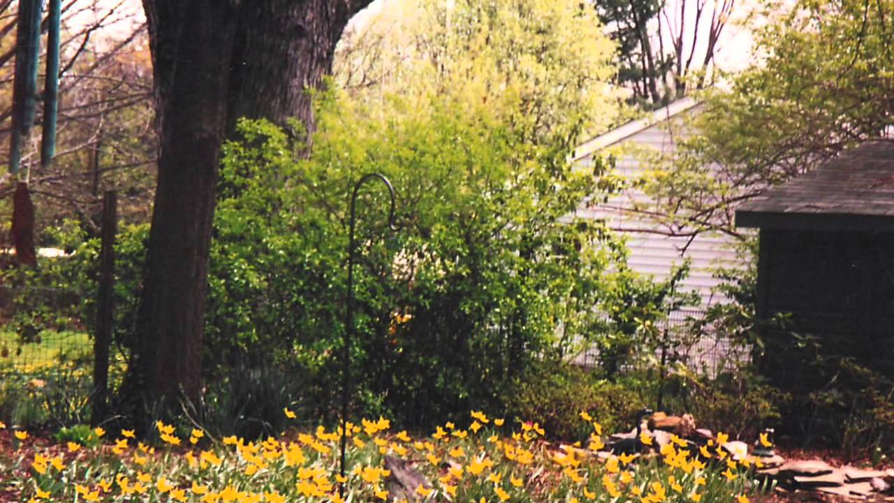 SOLD Home for Sale in Waverly Hills, Arlington, VA YouTube