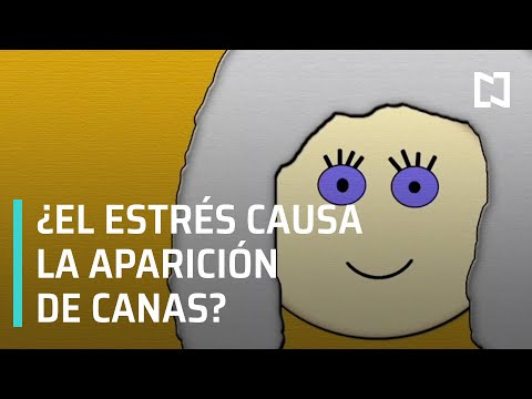 Relación entre el estrés y las canas | Consecuencias del estrés - A las Tres