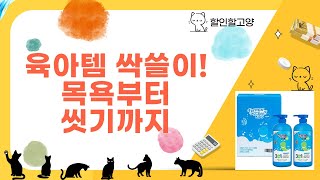 육아템 총출동! 목욕 장난감+디딤대+치약+쿠션+클렌저 후기 (ft. 예꼬맘, 아이팜)