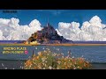 Amazing Flower Paradise 🌸 | Beautiful Nature Place in 4K UHD | Relaxing Scenery Video