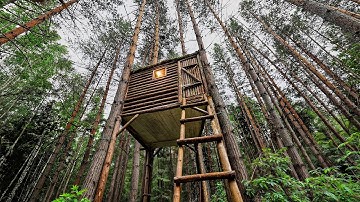 Man Built a SHELTER in a Tree from Bears in 13 Days