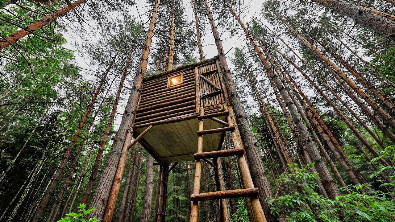 Man Built a SHELTER in a Tree from Bears in 13 Days