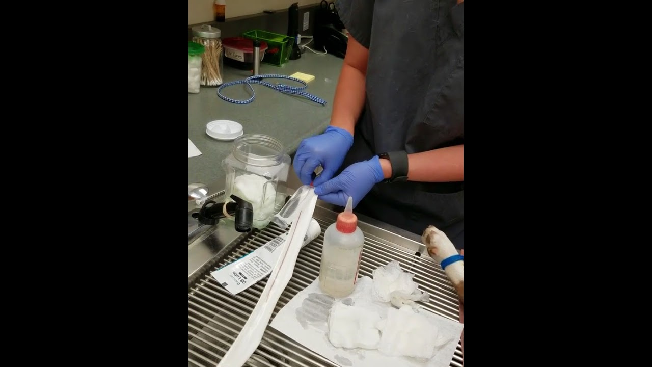 skin and catheter prep 21922925 YouTube