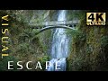 Multnomah Falls - Oregon |  7hrs of Waterfall Sounds | Sleep Sounds, Relaxing Sounds, Ambience