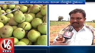 Farmers Interest On Green Apple Cultivation in Khammam | V6 News