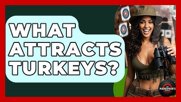 What Attracts Turkeys? - The Marksman