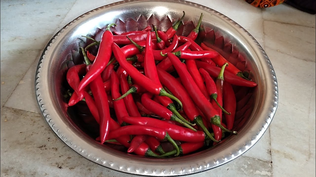 పండుమిరపకాయ నిల్వా పచ్చడి | Redchilli pickle | How to make redchilli pickle | pandumirchi pachadi.