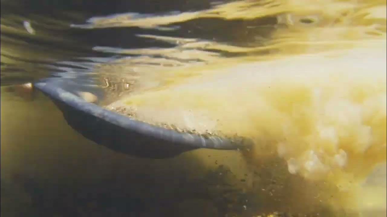 How To Pan For Gold Gold Panning Like An Expert Learn How To Pan