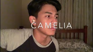 Camelia - Irwansyah (Cover By Faez Zein)