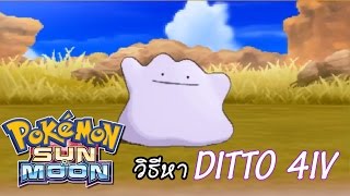 Pokemon Sun & Moon - วิธีหา Ditto 4IV !!!