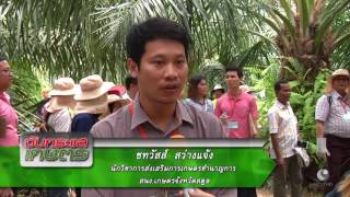 รายการคนไทยหัวใจเกษตร 08 พฤศจิกายน 2559 B3