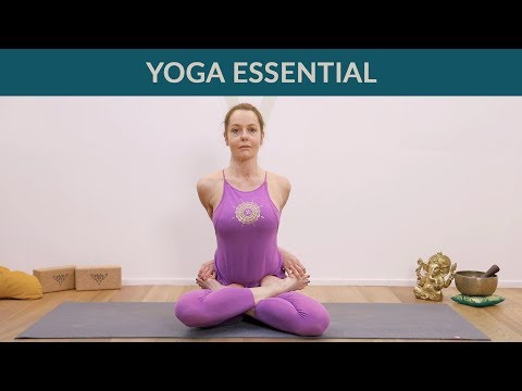 Video: Loto Volante: 12 Posizioni Yoga Per Il Tuo Prossimo Volo - Matador Network