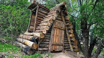 Build amazing log cabin. Step by step in the rainforest.build cabin