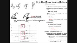 Biomechanics and Events of the Sit-to-Stand
