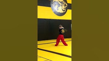 Slow motion nunchucks 2017(2)