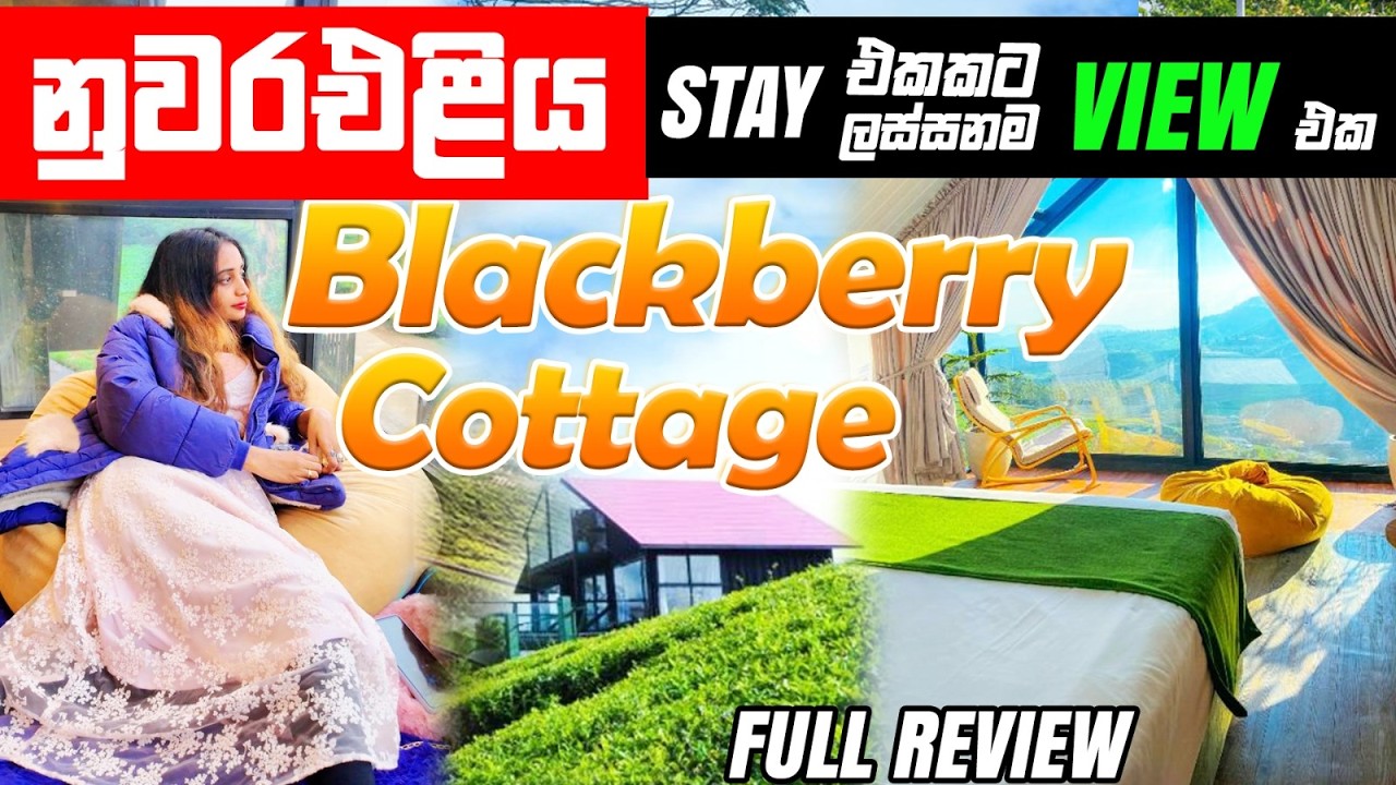 අපි ගත්තා හොඳම Cottage එක 🔥 | Blackberry Cottage Nuwara Eliya 🌄🏡😍