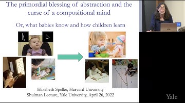 The Primordial Blessing of Abstraction and the Curse of a Compositional Mind