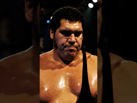 #wwe André the Giant miss you legend🥺