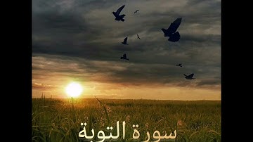 سورة التوبة للقارئ عامر الكاظمي