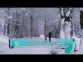 تحميل فيديو إمرأتان تمشيان في غابة ثلجية ساحرة (بدون حقوق) 4K