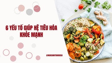 Yếu tố để hệ tiêu hóa khỏe mạnh