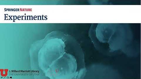 Springer Experiments Video