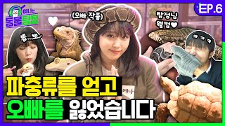 [SUB] 고급 외제차보다 몸값 높은 파충류🦎가 있다고ㄷㄷ!? 동물탐정도 놀란 넘사벽 파충류들🐍 직접 만났습니드아아악ㅣ예나는동물탐정 EP.06