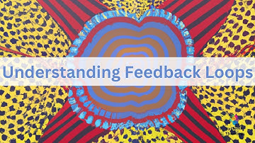 Understanding Feedback Loops