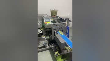 (客户现场)lace dumpling machine花边饺