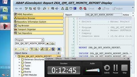 (2014)SAP ABAP Debugger & Hata Yakalama-4