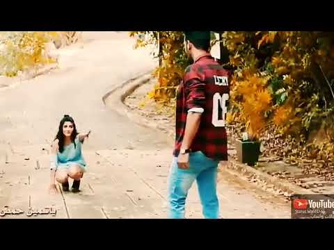 انتي الاغلا محمد الديراني 2019 حالات واتس اب 