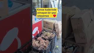 Gimsa Kaderinde Olmayan Bir Şeyi Isteyemez 🤲🤲 Resimi