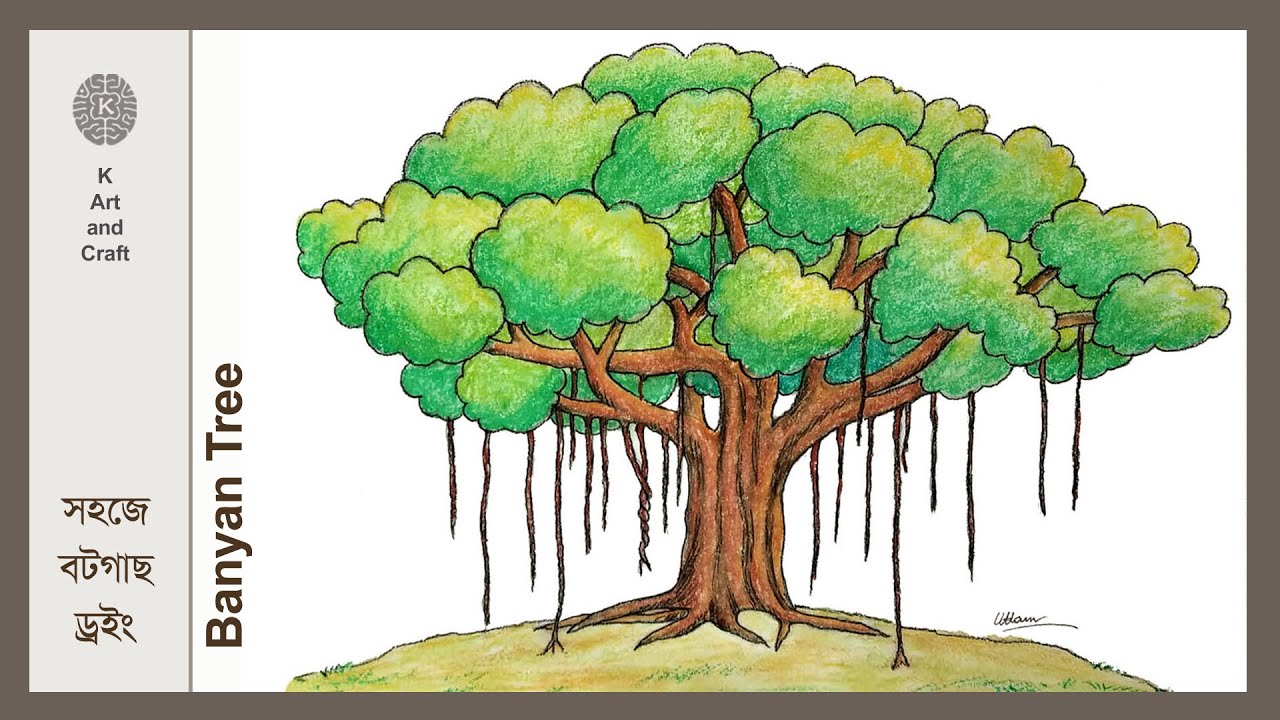 Banyan Tree Drawing Stock Illustrations  238 Banyan Tree Drawing Stock  Illustrations Vectors  Clipart  Dreamstime