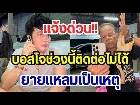 แจ้งด่วน!! ช่วงนี้บอสโจ ติดต่อไม่ได้ ยายแหลมเป็นเหตุ…