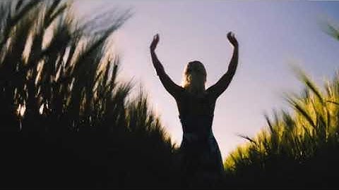 Thumbnail of Михаил Гребенщиков  Лилии