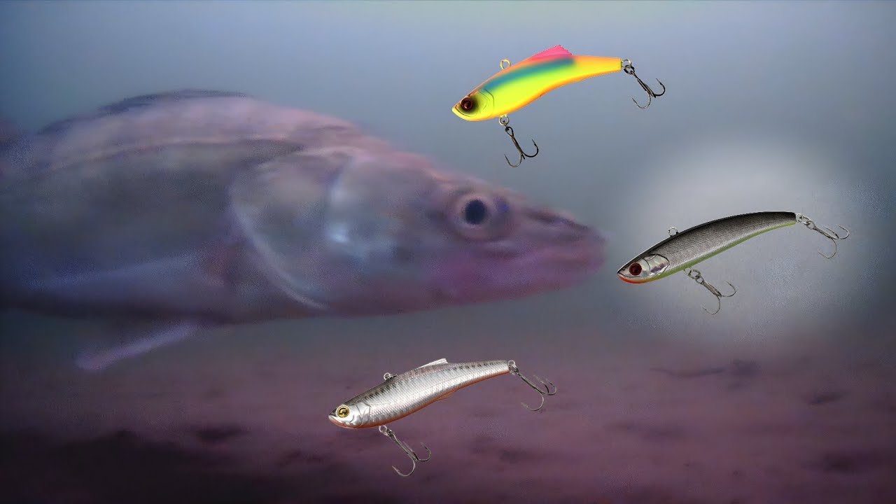 Бюджетні віби Flagman на судака  | Підводна зйомка