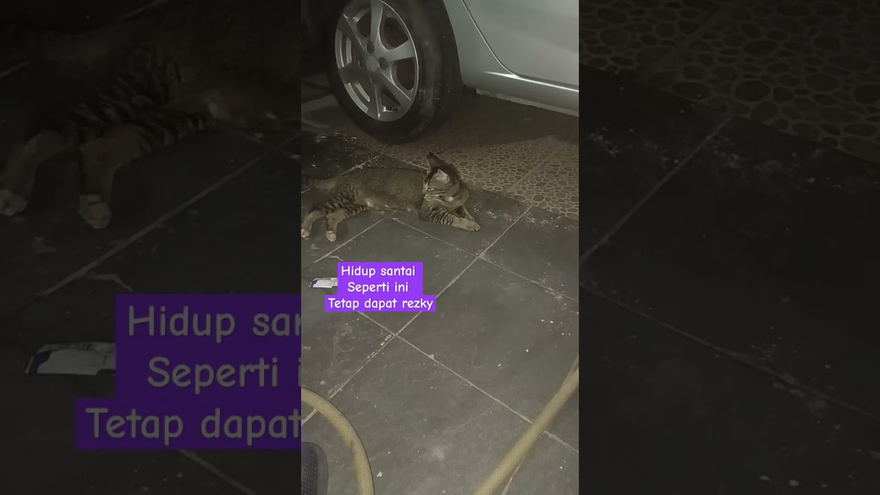 lagi santai kawan#mangu#shortvideo