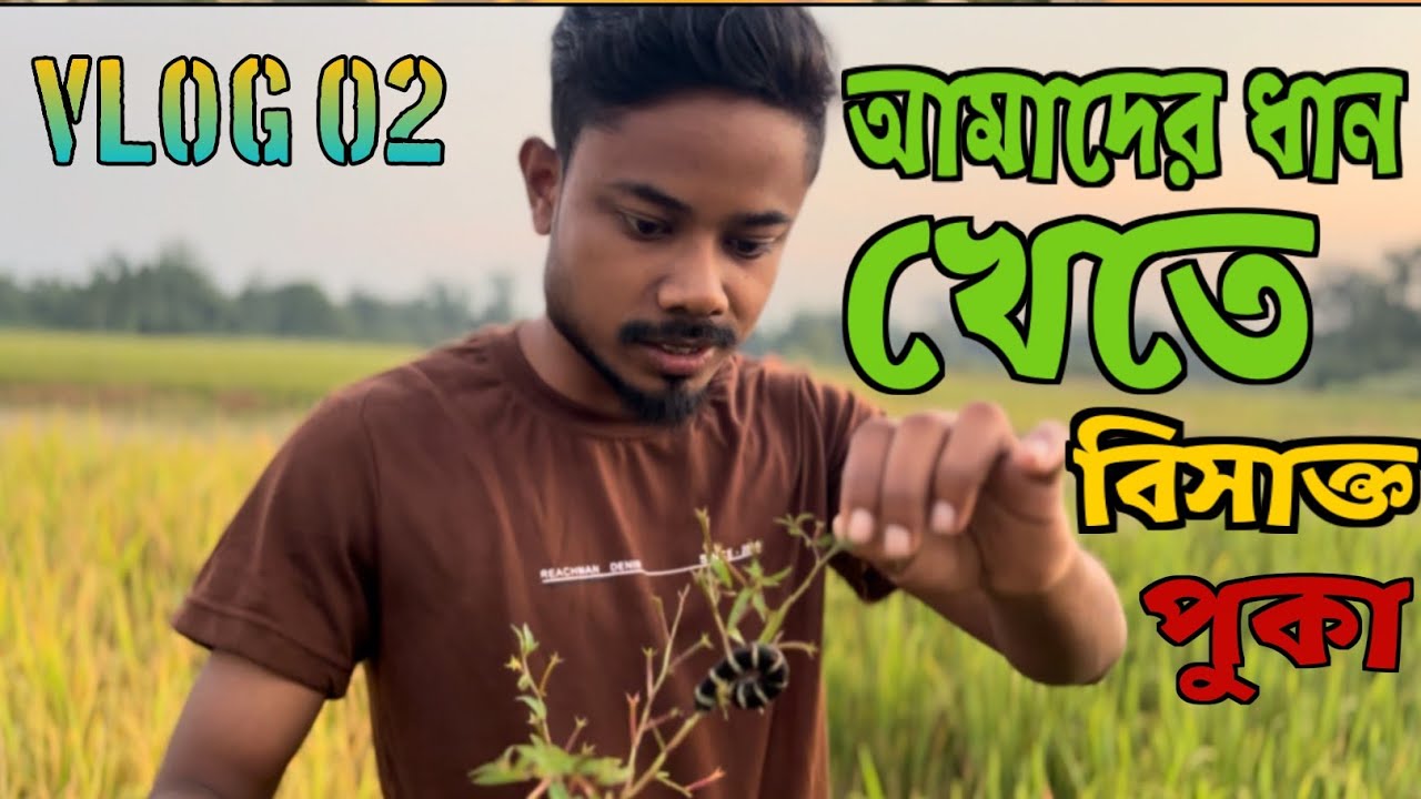 গ্রামের পরিবেশ _ Village Lifestyle 🥰|thebongprash