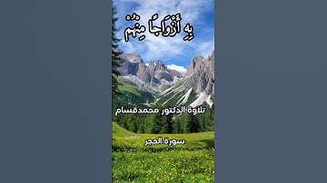 سورة الحجر الآية 88#سورة_الحجر #القرآن_الكريم #قران_كريم #quran #القرآن