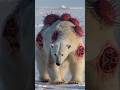 Devoured by Horrific Parasites,This Polar Bear’s Suffering Was Unimaginable!#animalrescue #polarbear