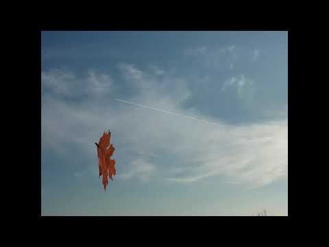 【幻の音源シリーズ】　風が吹いていた　／　大塚まさじ