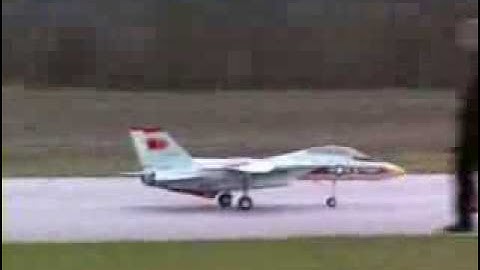 RC [F-14 TomCat] Real Turbines!
