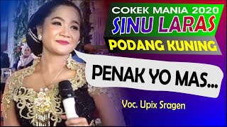 Sinu laras terbaru 2020 Podang Kuning cokek sragenan JOS