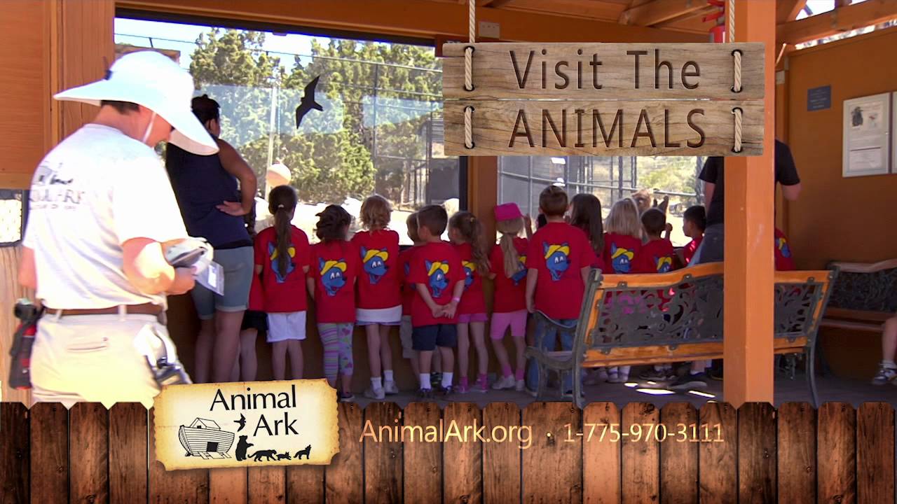 KTVN Animal Ark Visit