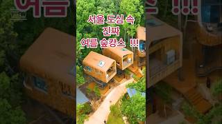 에어컨보다 시원한 숲캉스,서울도심에 오픈 #수락휴 트리하우스 예약안내 #여름휴가 #케이디메이트 #목재외장재 #탄화목 #서울숲캉스 #서울여름휴가지 #자연휴양림추천 #에어컨보다시원