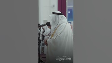 تلاوة خاشعة من سورة الحجرات القارئ #علي_صلاح_عمر #القرآن_الكريم #تلاواتٌ_بديعة